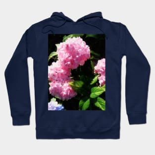 Hydrangea in Sunshine Hoodie